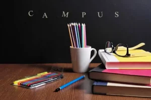 Apprendre &agrave; apprendre avec Cogito
